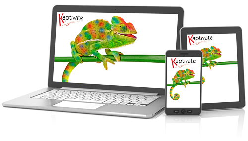 Web Design Services